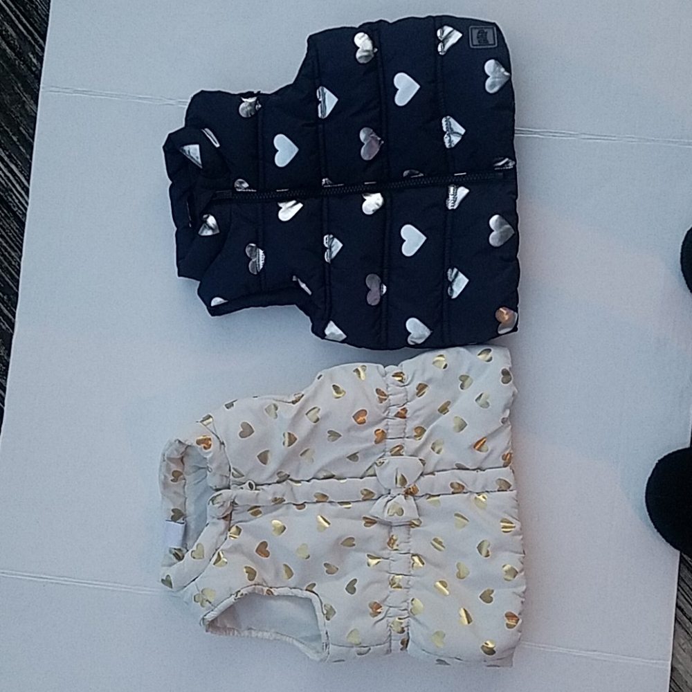 GAP and Health Tex 24 months butterfly vests
